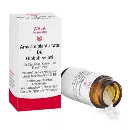 ARNICA E Planta tota D 6 glóbulos, 20 g