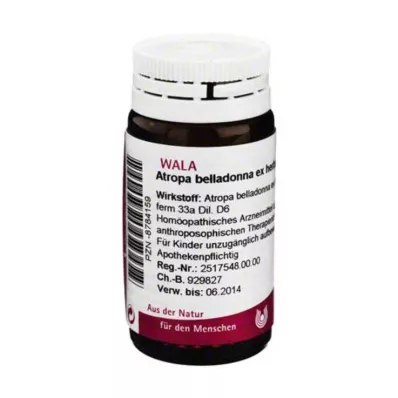 Atropa Beladona ex Herba D, 20 g Atropa Beladona ex Herba D, 20 g