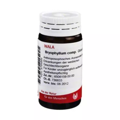 BRYOPHYLLUM COMP.Globules, 20 g
