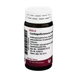 CARTILAGO/Glóbulos de Echinacea comp., 20 g
