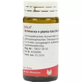 ECHINACEA E planta tota D 6 glóbulos, 20 g