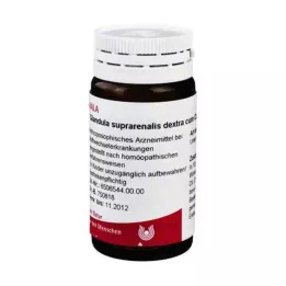 Glândula suprarrenal Dextra c., 20 g