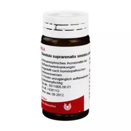Glândula suprarenalis sinistra cum Cupro, 20 g
