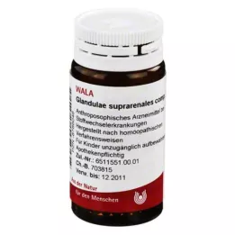 GLANDULAE SUPRARENALES comp. glóbulos, 20 g