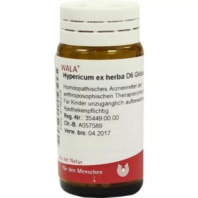 HYPERICUM EX Herba D 6 glóbulos, 20 g