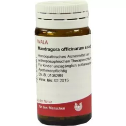 Mandrágora desligada.Roda E. Glóbulos D6 (20 g)