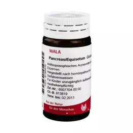 Pâncreas / Glóbulos de Equisetum, 20 g