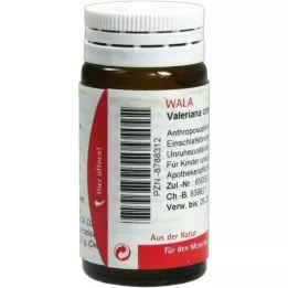 VALERIANA COMP.Globules, 20 g