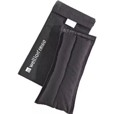 Wellion Frigo L com bolsa térmica, 1 unidade