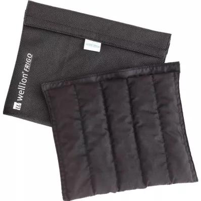 Wellion Frigo XXL com bolsa térmica, 1 unidade Wellion Frigo XXL com bolsa térmica, 1 unidade