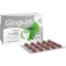 GINGIUM Comprimidos revestidos por película de 40 mg, 120 unidades