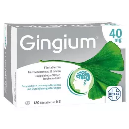 GINGIUM Comprimidos revestidos por película de 40 mg, 120 unidades