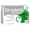 GINGIUM Comprimidos revestidos por película de 40 mg, 120 unidades