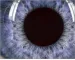 Instructions for use for Systane gel gotas gotas hidratantes para os olhos, 10 ml - 9