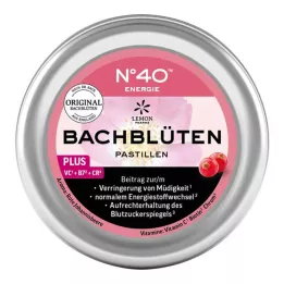 ENERGIE BACHBLÜTENPASTILLEN Segundo o Dr. Bach, 50 g