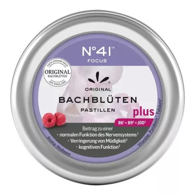KONZENTRATION Pastilhas de flores de Bach segundo o Dr. Bach, 50 g