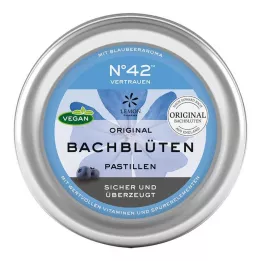 SELBSTVERTRAUEN Pastilhas de flores de Bach segundo o Dr. Bach, 50 g