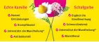 Instructions for use for Líquido Kamillan®, 10 ml - 2