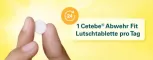 Instructions for use for Pastilhas Cetebe Defense Fit, 20 unidades - 4