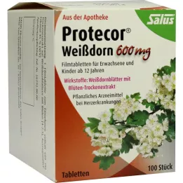 PROTECOR Hawthorn 600 mg comprimidos revestidos por película, 100 unid