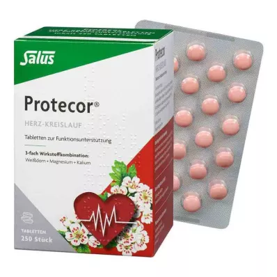 PROTECOR Cardiovascular Tabl.z.Funktionsunt.Salus, 250 St PROTECOR Cardiovascular Tabl.z.Funktionsunt.Salus, 250 St