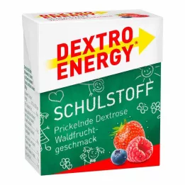 DEXTRO ENERGY Comprimido de frutos silvestres Schulstoff, 50 g