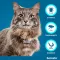SERESTO Coleira para gatos, 1 peça