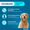 Coleira Seresto para cães grandes com mais de 8 kg, 1 peça