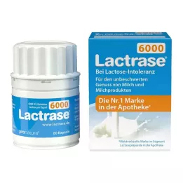 LACTRASE 6.000 FCC Cápsulas, 60 unid