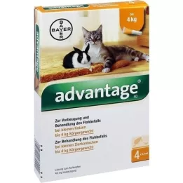 ADVANTAGE Solução de 40 mg para gatos pequenos/coelhos ornamentais pequenos, 4X0,4 ml