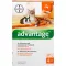 ADVANTAGE Solução de 40 mg para gatos pequenos/coelhos ornamentais pequenos, 4X0,4 ml