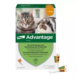 ADVANTAGE Solução de 40 mg para gatos pequenos/coelhos ornamentais pequenos, 4X0,4 ml