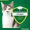 Advantage 40 para gatos pequenos e coelhos ornamentais com menos de 4 kg, 4X0,4 ml