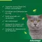 Advantage 40 para gatos pequenos e coelhos ornamentais com menos de 4 kg, 4X0,4 ml