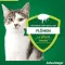 ADVANTAGE 80 mg para gatos grandes e coelhos ornamentais de grande porte, 4X0,8 ml