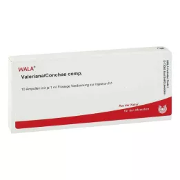 Ampolas de Valeriana/conchae compositus (10x1 ml)