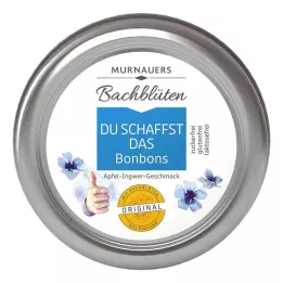 BACHBLÜTEN Doces Murnauers You can do it, 50 g