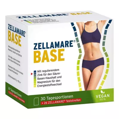 Base Zellamare e tiras de base, 30 unidades Base Zellamare e tiras de base, 30 unidades
