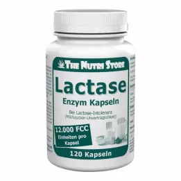 LACTASE 12.000 FCC Cápsulas de enzimas, 120 pcs