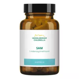 SAM S-ADENOSYLMETHIONIN Cápsulas, 60 Cápsulas