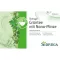 SIDROGA Chá verde Wellness com filtro de menta Nana, 20X1,5 g