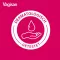 Loção de lavagem íntima Vagisan, 100 ml