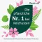 PHYTOHUSTIL Pastilhas antitússicas, 20 unidades