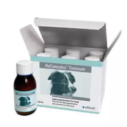 Reconvales Tônico para Cães, 6X90 ml