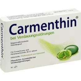 CARMENTHIN para indigestão msr.soft cápsulas, 14 unid