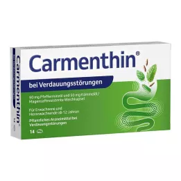 CARMENTHIN para indigestão msr.soft cápsulas, 14 unid