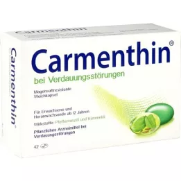 CARMENTHIN para indigestão msr.soft cápsulas, 42 unid
