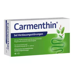 CARMENTHIN para indigestão msr.soft cápsulas, 42 unid
