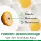 CURCUMIN-LOGES Cápsulas, 120 Cápsulas