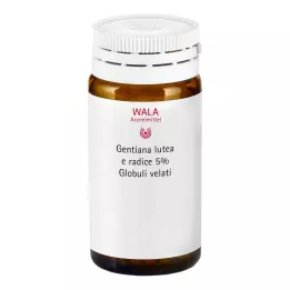 Gentiana lutea 5% tintura mãe Globuli velati, 20 g